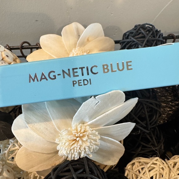 Red Aspen Pedi Nail Dashes in “Mag-netic Blue” - Picture 2 of 6